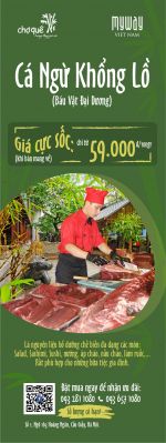 Thiết kế  và In ấn Standee quảng cáo Thiết kế An Thắng