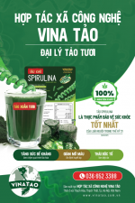 Thiết kế  và In ấn Tem nhãn sản phẩm Thiết kế An Thắng