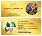 Thiết kế  và In ấn Voucher Thiết kế An Thắng