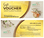 Thiết kế  và In ấn Voucher Thiết kế An Thắng